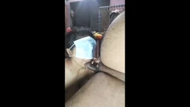 देसी पत्नी