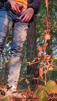 Forest Walk