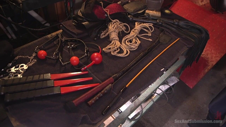 Sex and Submission by Kink: A Perspectiva