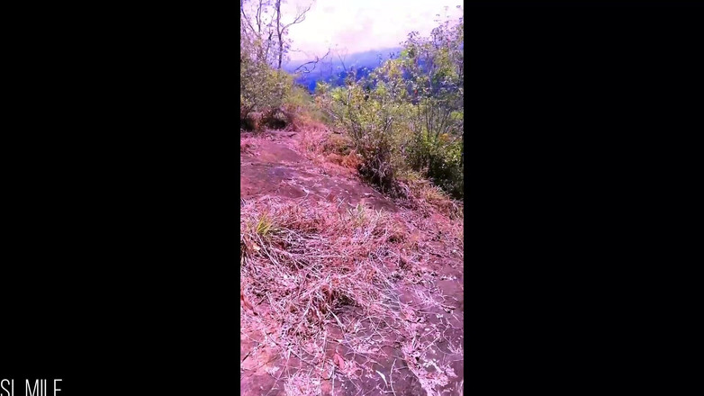 JANAKI: बड़े स्तन वाली गर्ल फ्रेंड के साथ जंगल में जोखिम भरा त्वरित सार्वजनिक सेक्स