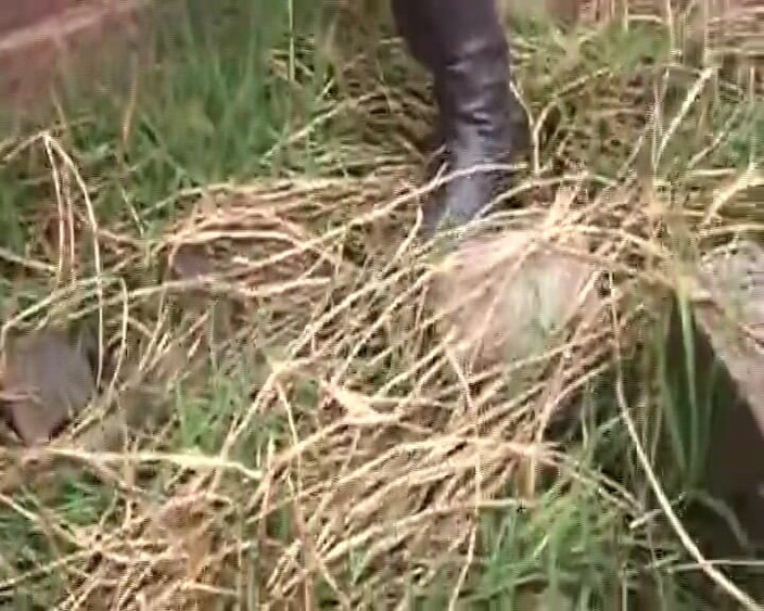 Enjoy German porn: Ebenová německá děvka jezdí na velkém černém péru v této drsné...