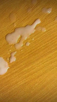Una Gran Selección De Espermatozoides Trans