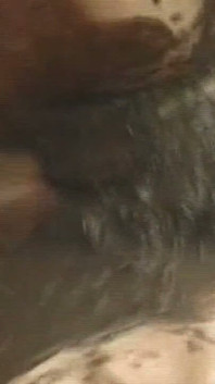 Mature Brunette MILF Gets Fucked Hard in Mud