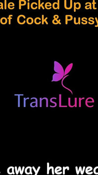 Histoire de sexe audio en anglais - une grande trans timide se fait draguer au bar - nuit passionnée de bite et de chatte - partie 1