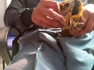 Satin And Silky: साटन रेशमी हाथों से चुदाई पोर्न - साटन रेशमी पीले सूट के साथ लंड का सिर रगड़ना (77)