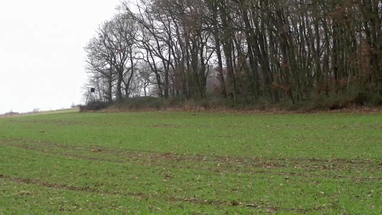 Deutschland porn: Hot Young Sluts Get Fucked in the Woods by Big...