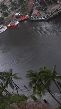 Venus Vixen Stars in Fort Lauderdale Lust