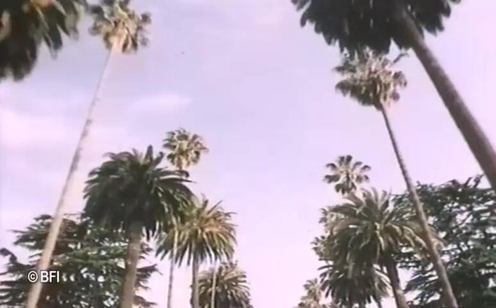 Vintage Vixens: 베벌리 힐스 빈티지 섹스 테이프 - 네덜란드 자막