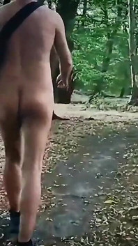Passeggiata nel bosco