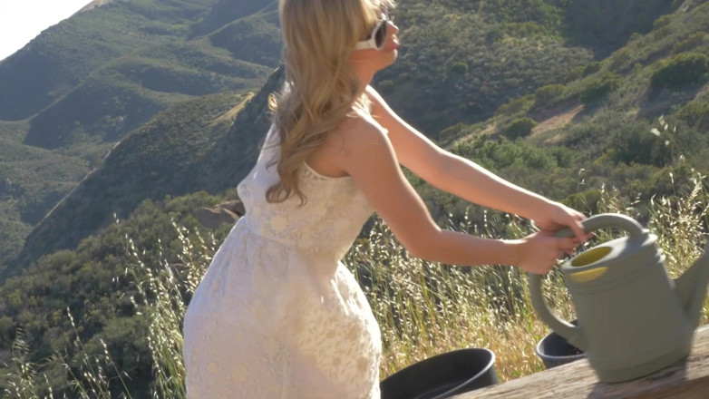 Foxy Desire: Summer Breeze starring jillian janson solo
