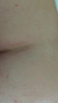 Short Inside