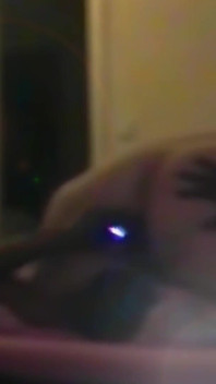 BBW Gets Licked, Backshoots and Pounded