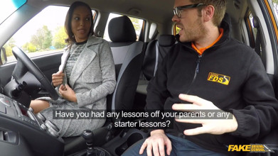 Fake Driving School
