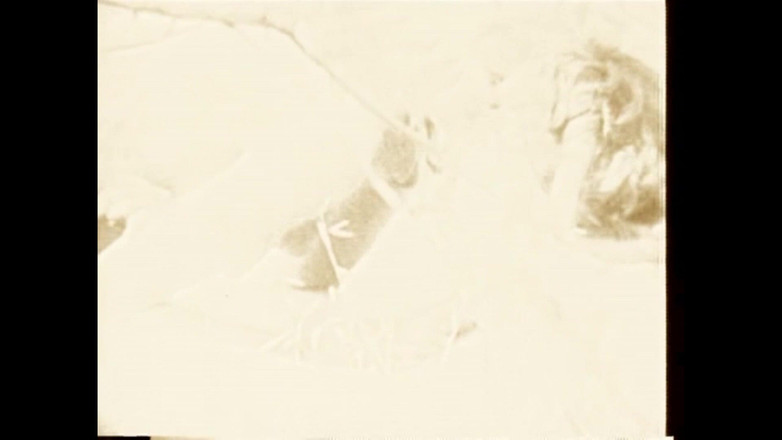 The Unforgettable: Na trávě pálící listí