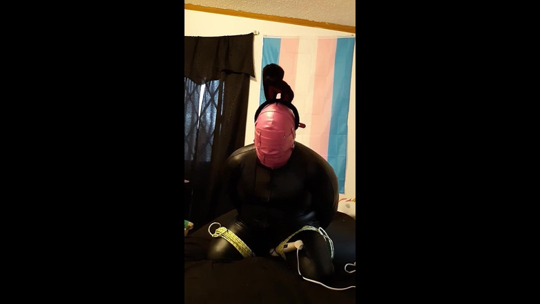 Roxxie rae page: Iepuraș cu robie