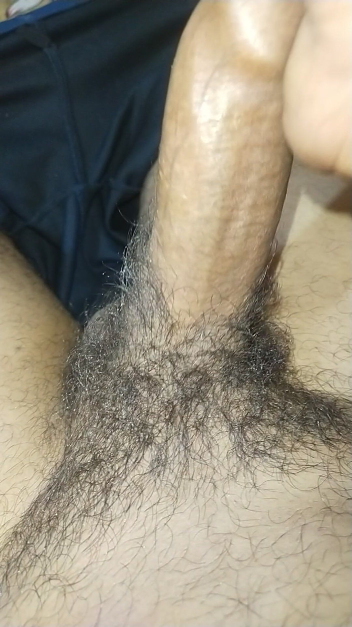 Govind91: Desi Land