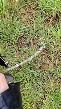 Just a Litte Bit Piss Cum Mix Enjoy