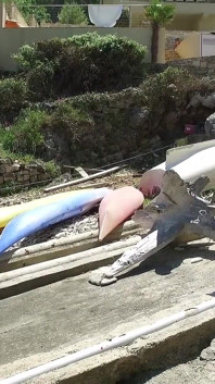 Chubby Brunette Pisses Masked Guy in Mouth on the Docks