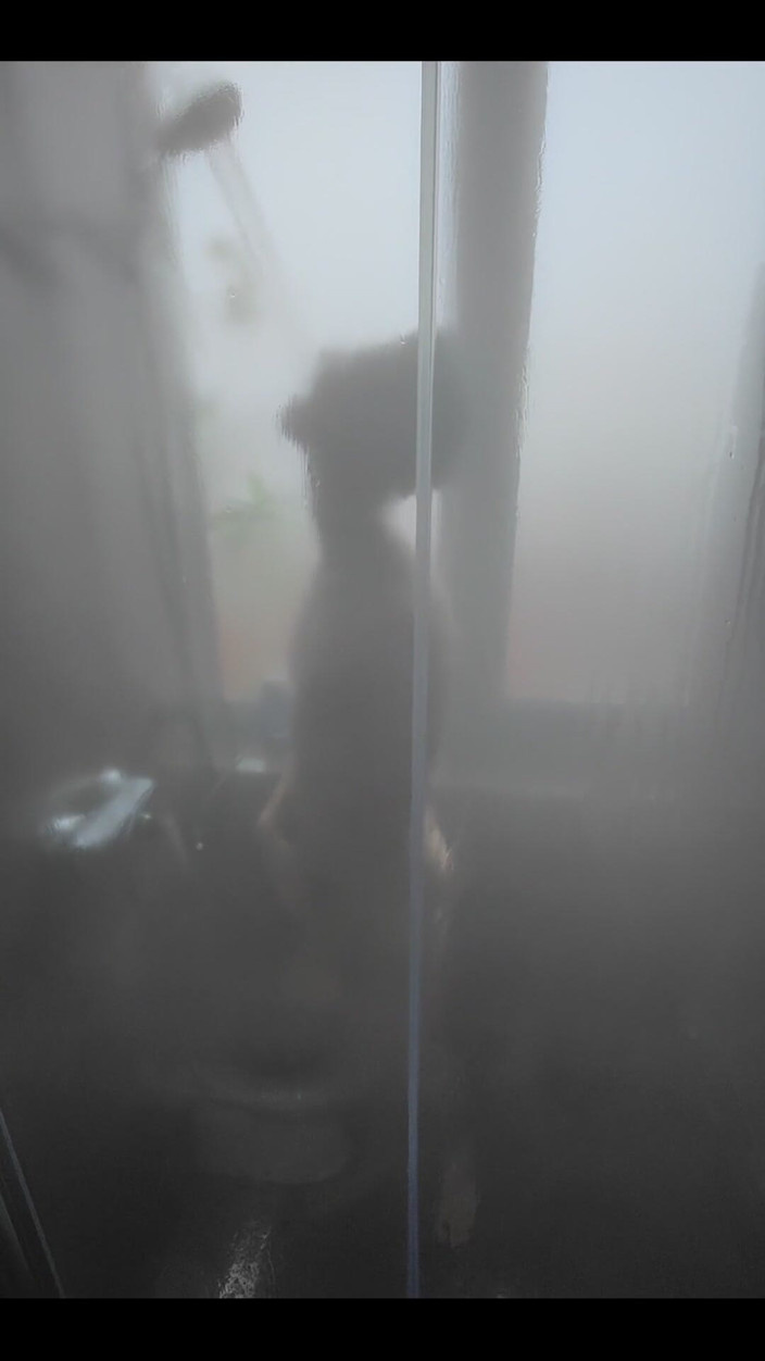 Snauwflake: Dumme sachen in der dusche tun