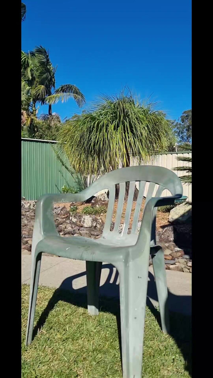 yogiyumyum: My Back Yard