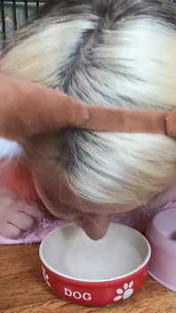 Cute Pet Girl Drink From Her Bowl