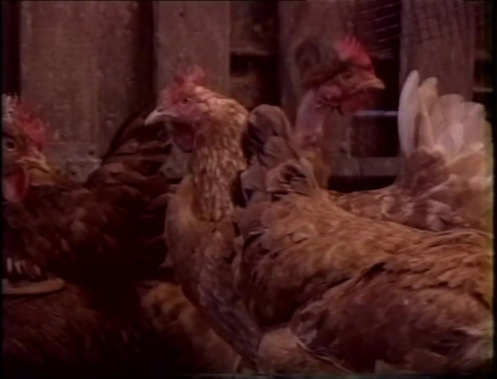 Vintage megastore: huge vintage MILF boobs