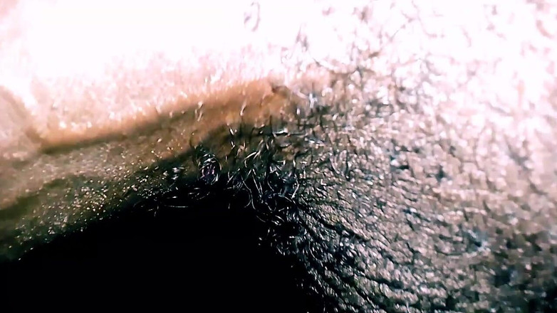 Judith xxx: Nice Man Hout