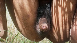 Jovem garoto indiano está se masturbando na selva.