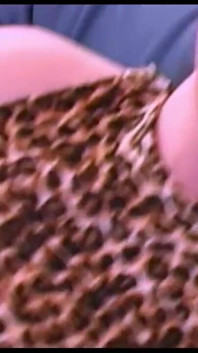 Monster cocks for monster orgasms - Episode #03