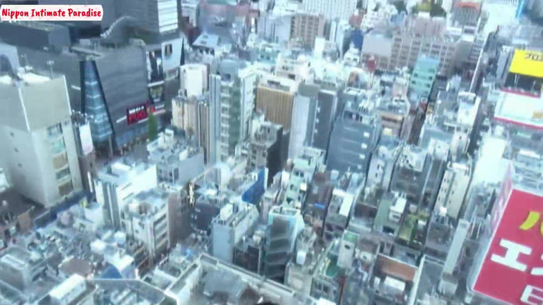 The Sexual Issues: Dm Hits, Hotel Invite Seals It, a First Tokyo Fling...