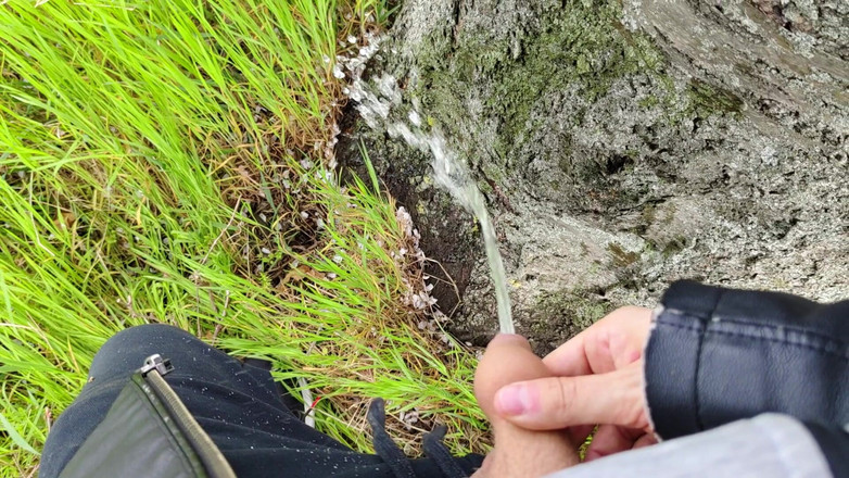 Bayer911: Pai oleh Oak