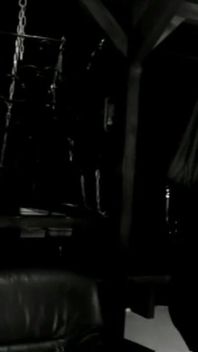 Trailer 376