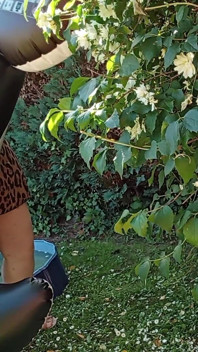 Outdoor with My Dolphin