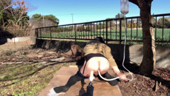 Self-training No. 75: Milk Enema Endurance Walk thumbnail