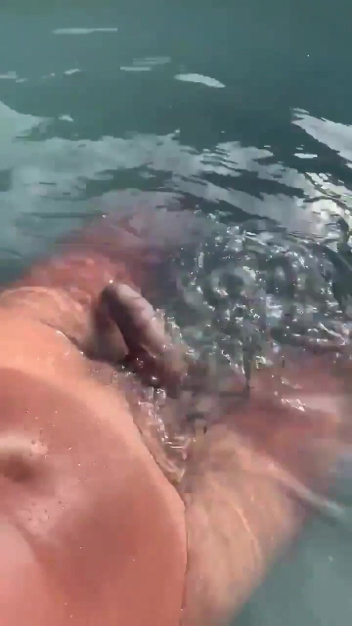 Vida Noite: Прослуховування звуку в басейні та дрочки