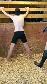 Tàn bạo stables sack smashing ballbusting cực và trừng phạt cắt xén