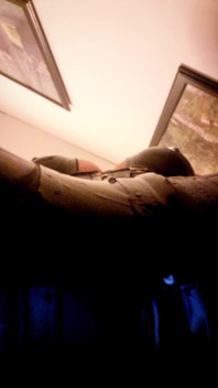 Tell Me How Much You’d Love This POV While Being My Little Human Rest Bench.