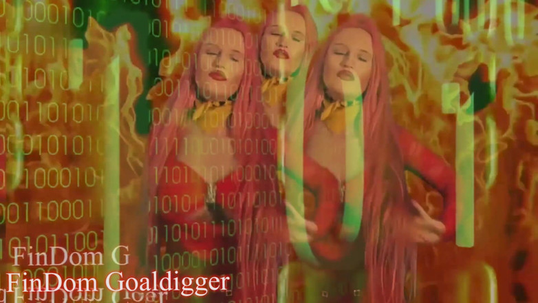 FinDom Goaldigger: Dumb slut transformation