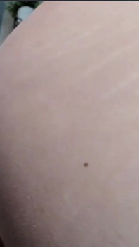 Sexy Latina Girl Dances and Wants to Get Fucked