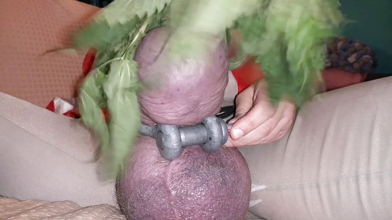 Monster_Meat_: Nässlor gör mig nötter och gör min kuk hård!