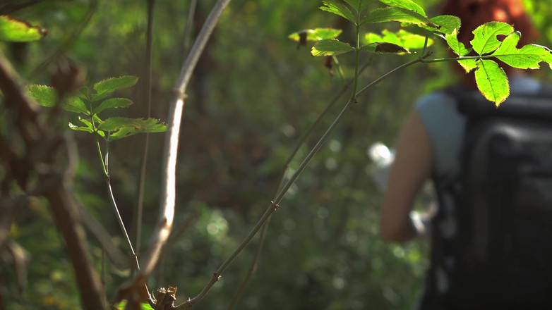 Toma Mur: Sekretna masturbacja macochy w udostępnij namiot zamienia tabu jebanie!