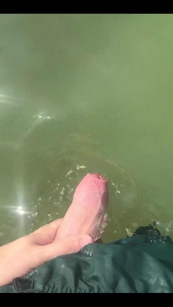 Hardim: 겸둥이 바이그네이드