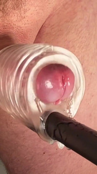 Machine à traire des bites
