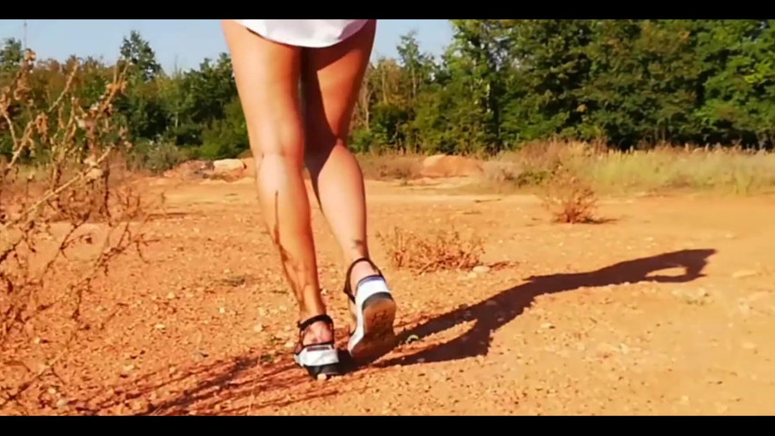 Will You Walk with Me? (Aliahkeyy) Will You Walk with Me? (Aliahkeyy)