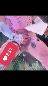 Roze netkousen lingerie shemale berijdt zwarte dildo op de muur