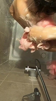 Domina – toilettensklavin
