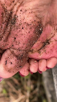 My Dirty Feet for You