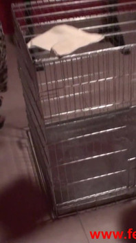 Fetish Mozart Has to Clean