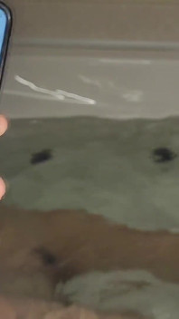 3 Minutes Underwater Breath Holding, Squirting, Blowjob