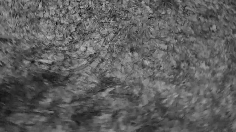 Toilet Mommy: Latihan Ketaatan Awek Peliharaan